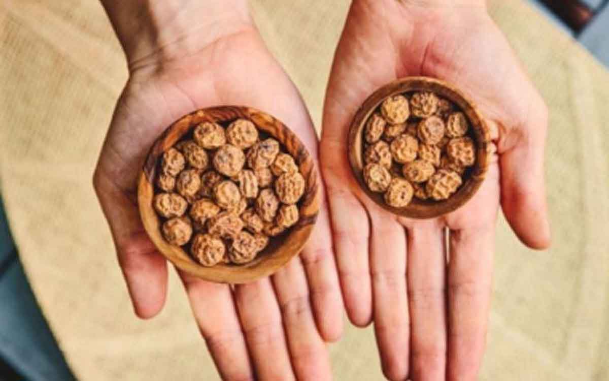 Tiger Nuts | టైగ‌ర్ న‌ట్స్ గురించి మీకు తెలుసా.. ఇవి అందించే లాభాలు బోలెడు..