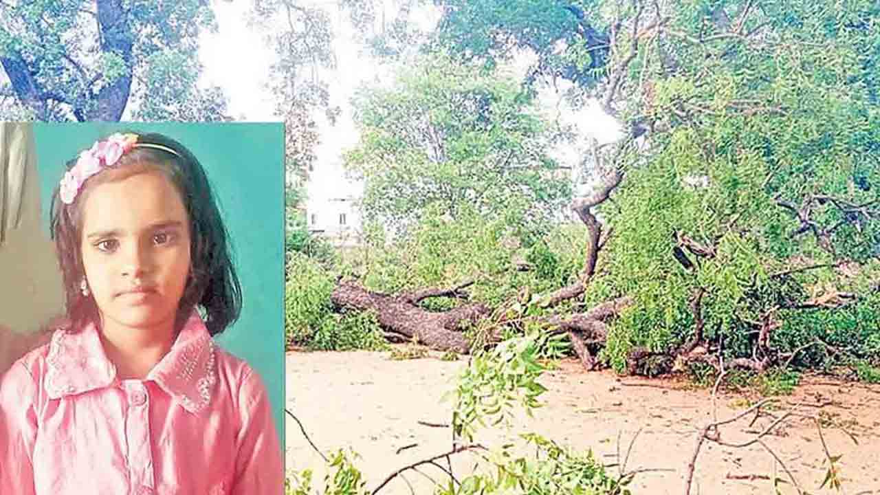 వేపచెట్టు కొమ్మ మీదపడి విద్యార్థి మృతి పలువురికి గాయాలు