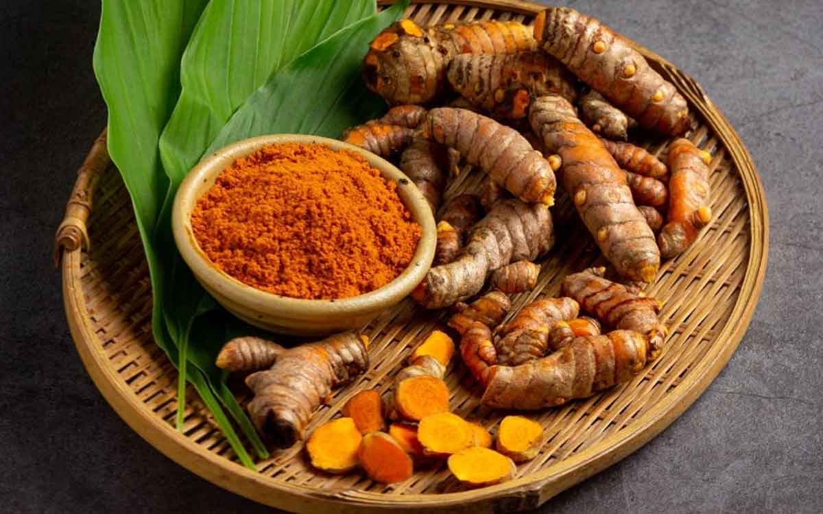 Turmeric | గాయాలు, నొప్పుల‌ను త‌గ్గించే దివ్యౌష‌ధం ప‌సుపు.. అధ్య‌య‌నంలో వెల్ల‌డి..