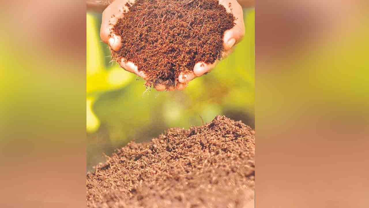 తోటకోసం కోకోపిట్‌..!