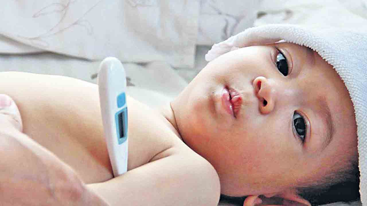 డెంగ్యూ లక్షణాలుంటేనే చికిత్స