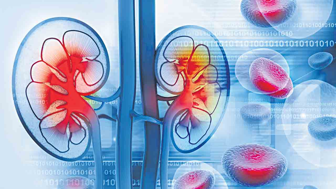 కిడ్నీ కాపాడుకో.. జీవితాన్ని నిలబెట్టుకో