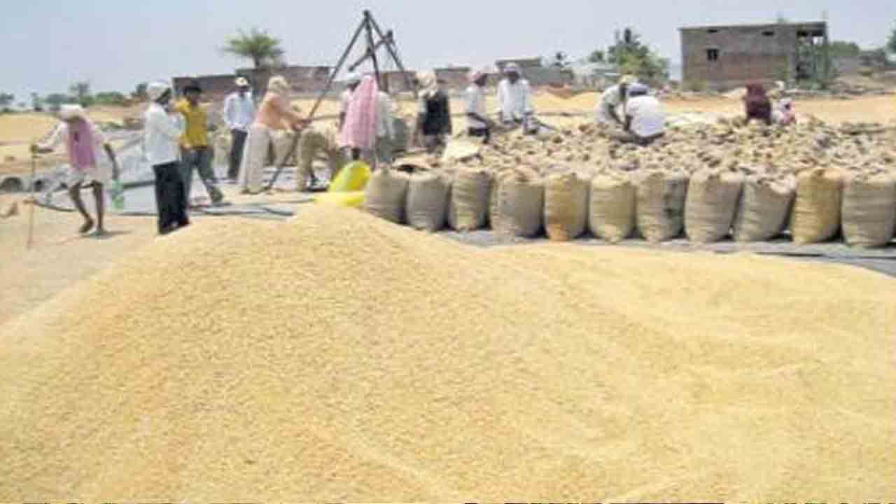 అక్టోబర్‌ తొలివారంలో ధాన్యం కొనుగోళ్లు