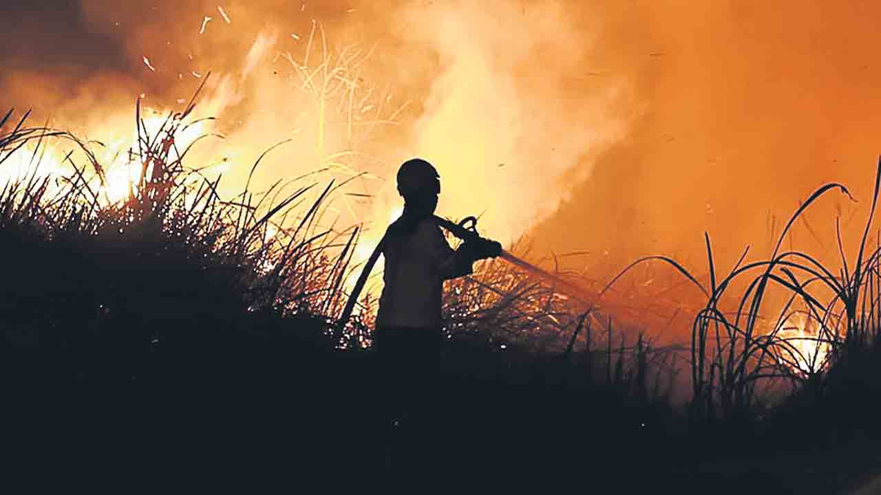 సూపర్‌ ఎల్‌ నినోతో 4.5 లక్షల మరణాలు!