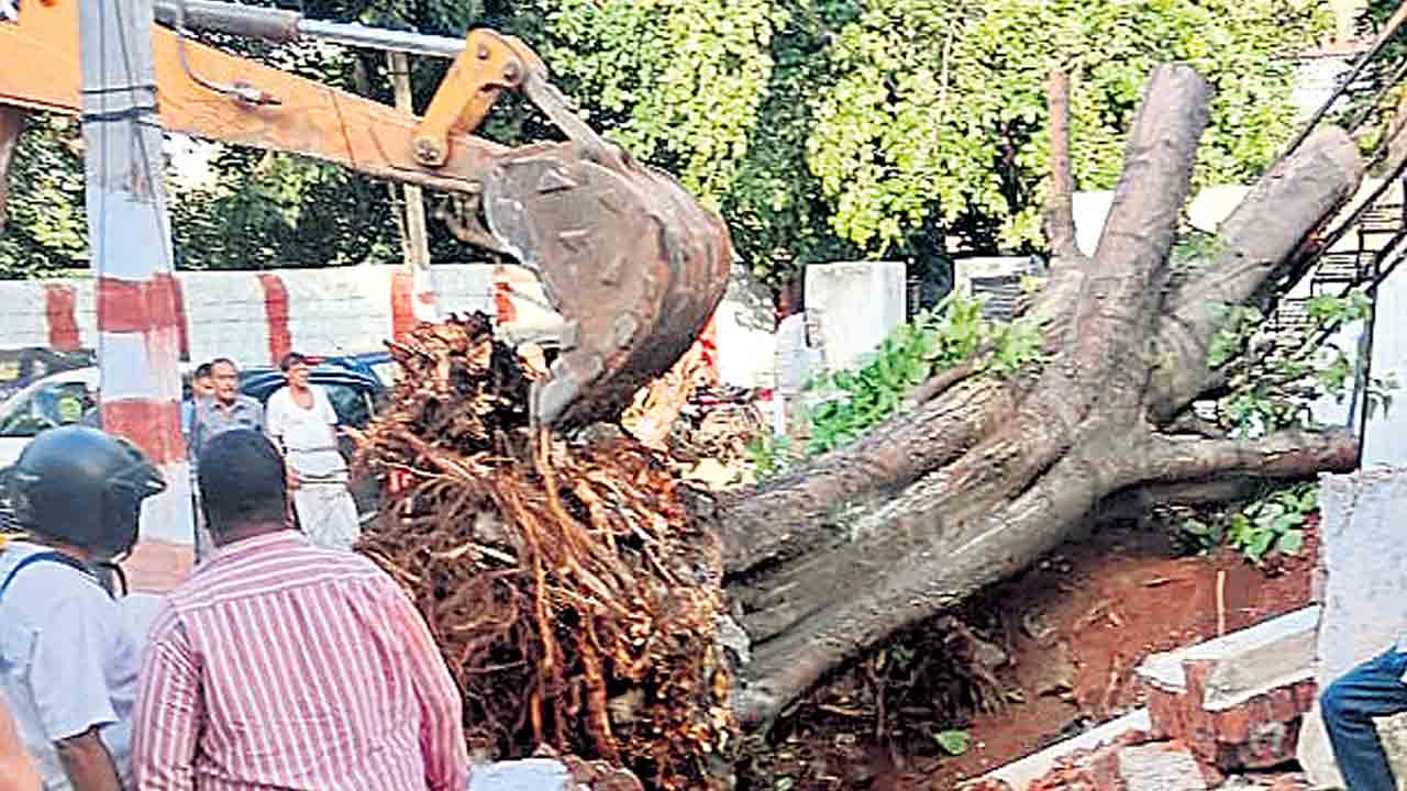 ప్రభుత్వ స్థలం కబ్జాకు యత్నం