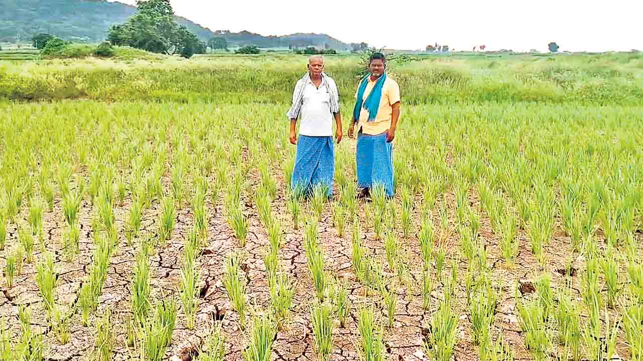 వానలు లేవు.. కరెంట్‌ ఉండదు