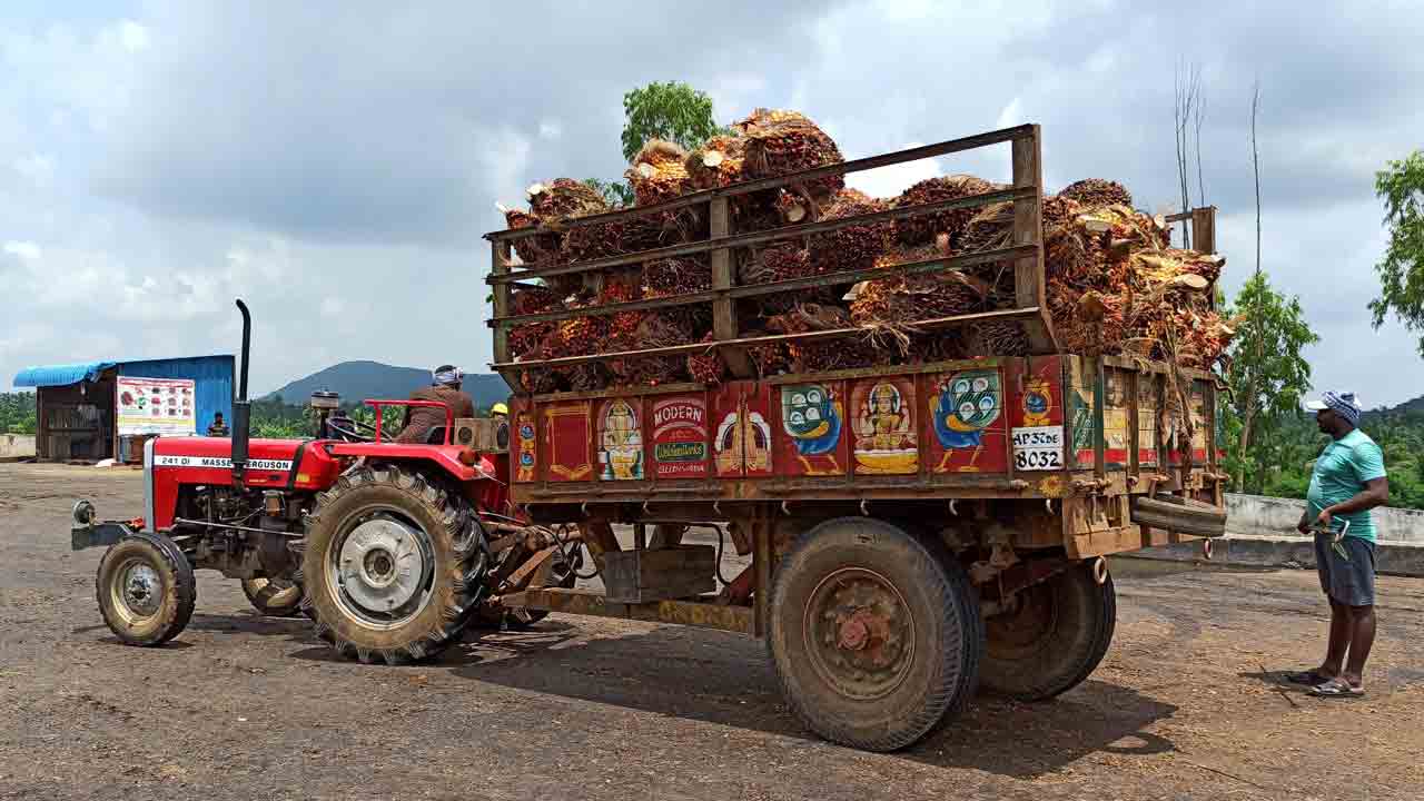 పామాయిల్‌ గెలల రవాణా కాంట్రాక్ట్‌ రద్దు
