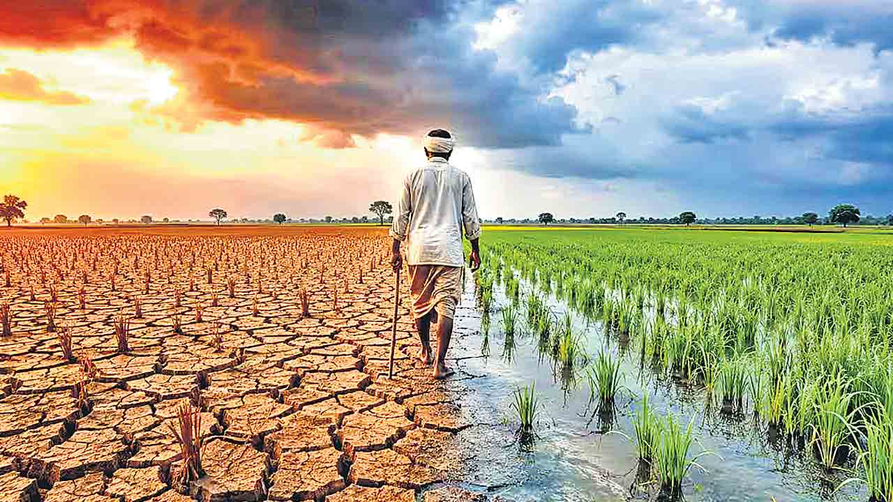 నిరాశపర్చిన నైరుతి!