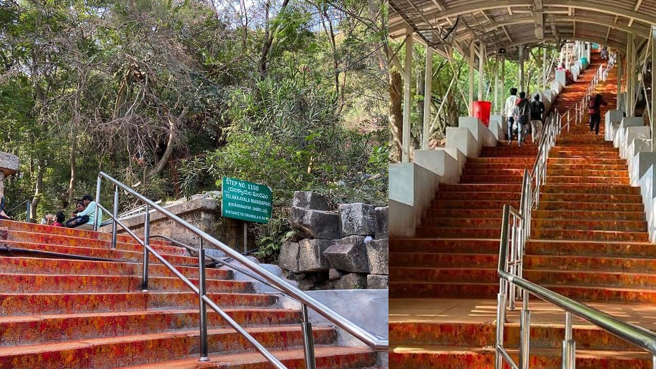 Tirumala | తిరుమల నడక మార్గంలో చిరుత సంచారం .. భయాందోళనలో భక్తులు