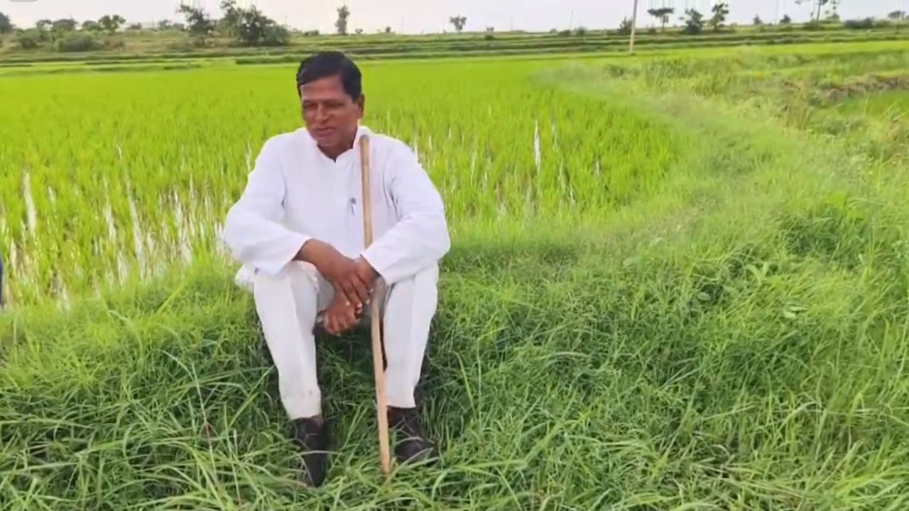 Chinna Reddy | ఒక్క పోటుతో కూల్చేశారు..కాంగ్రెస్‌ అధిష్ఠానం నిర్ణయంపై స్పందించిన చిన్నారెడ్డి