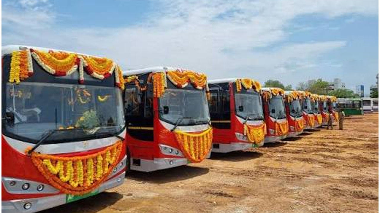 Ev Busses