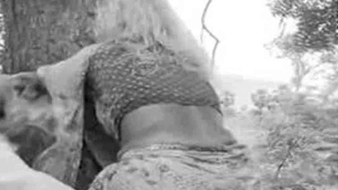 దయ్యం పట్టిందని వృద్ధురాలిపై దాడి