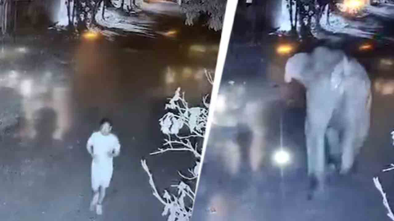 Watch: మార్నింగ్‌ వాక్‌ చేస్తున్న వ్యక్తిపై దాడి చేసి.. తొక్కి చంపిన ఏనుగు