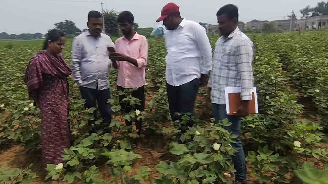 Farmer ID | ఫార్మర్ ఐడీ ఉంటేనే పంట కొనుగోలు : ఏడీఏ బాబు నాయక్