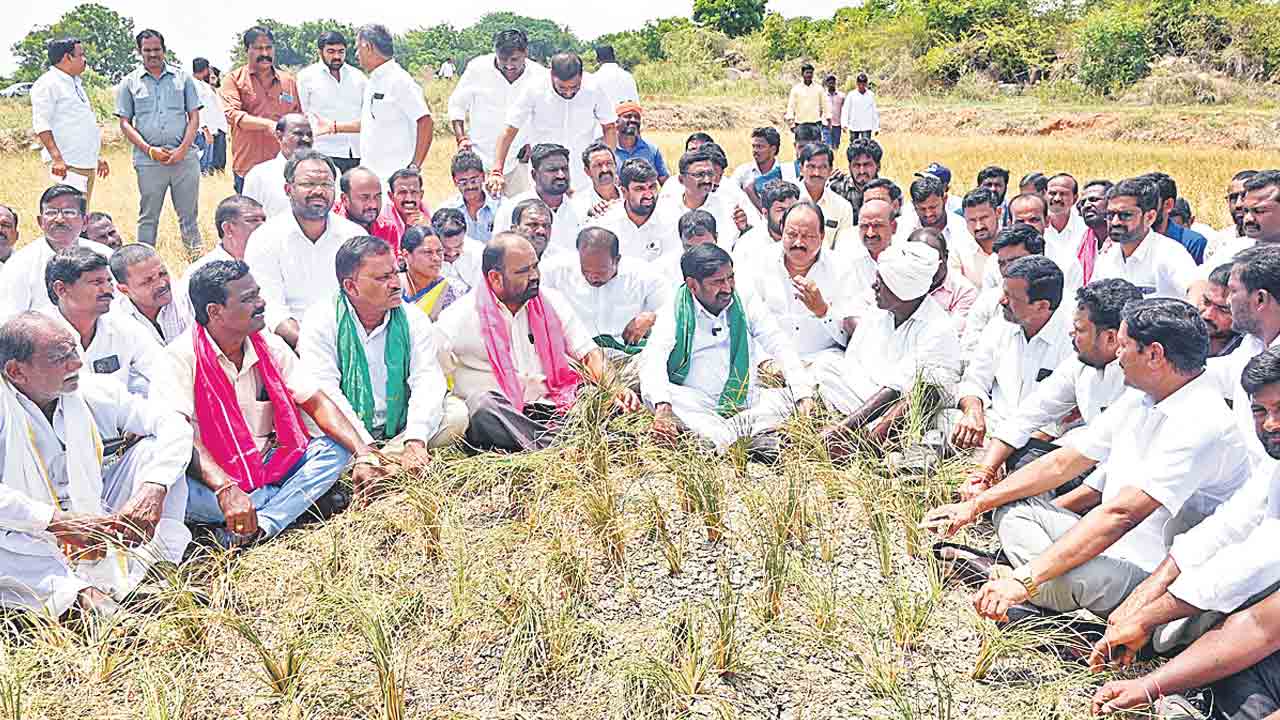 పంటలు ఎండబెట్టడం నేరం