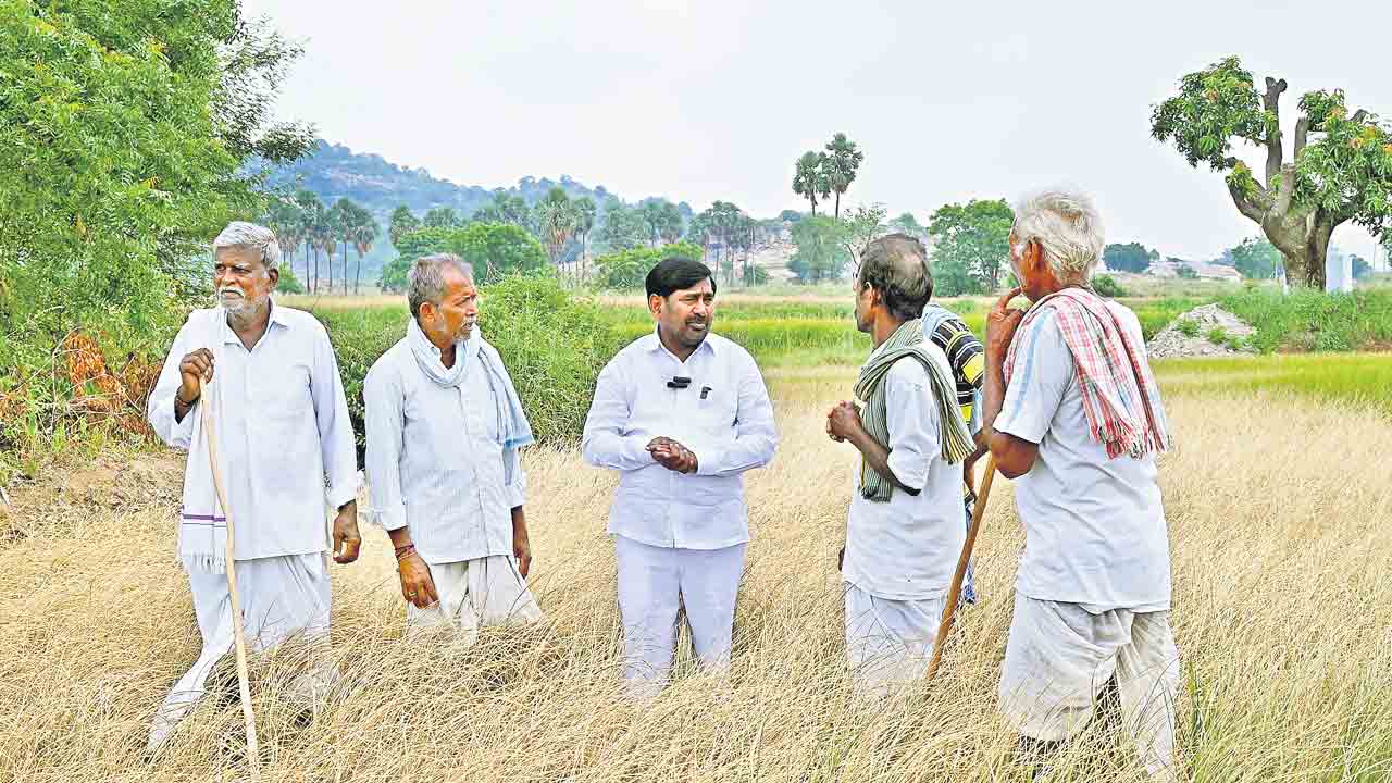 ఆరు పంటల్లో నాలుగు ఎండబెట్టిన కాంగ్రెస్‌