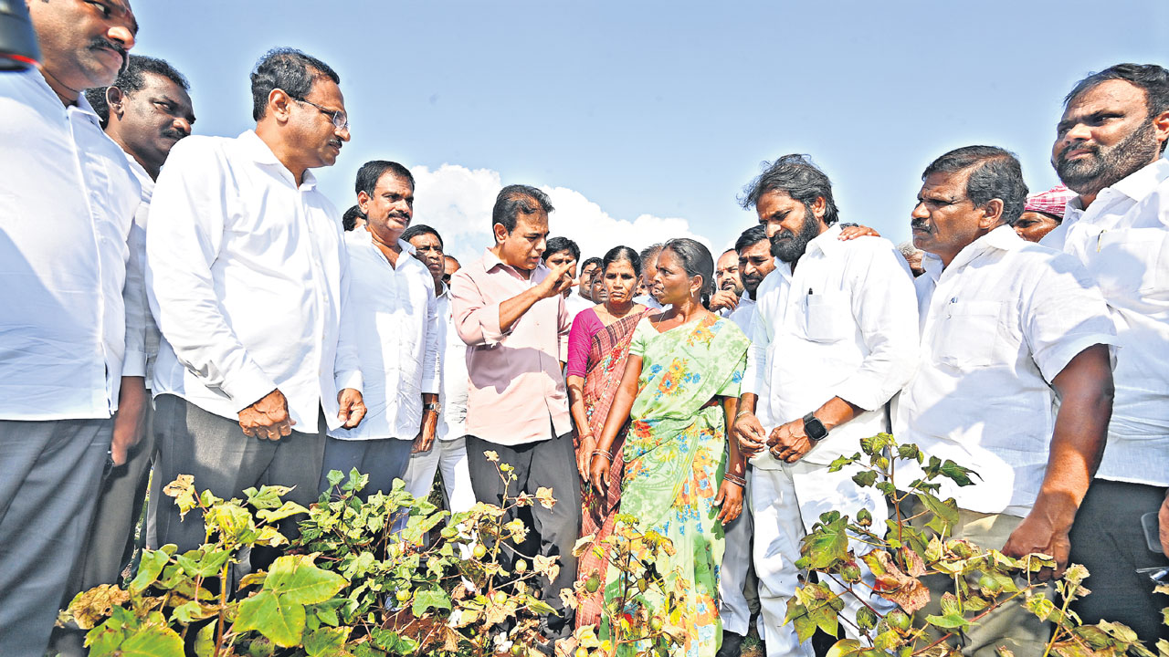 Ktr5