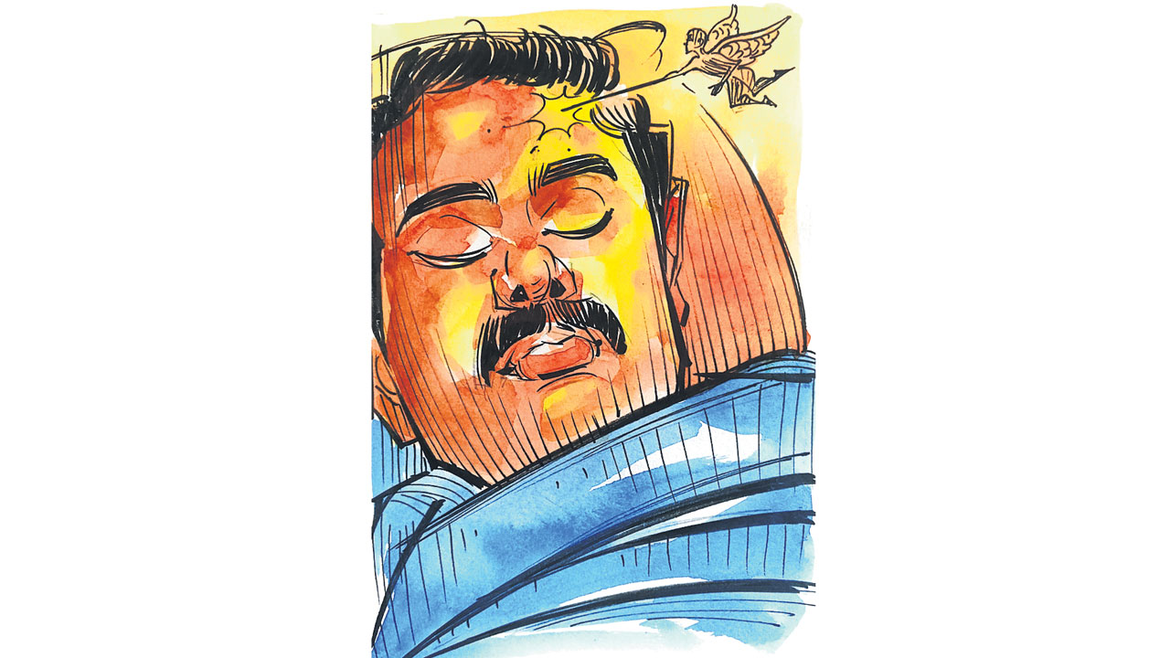లే!