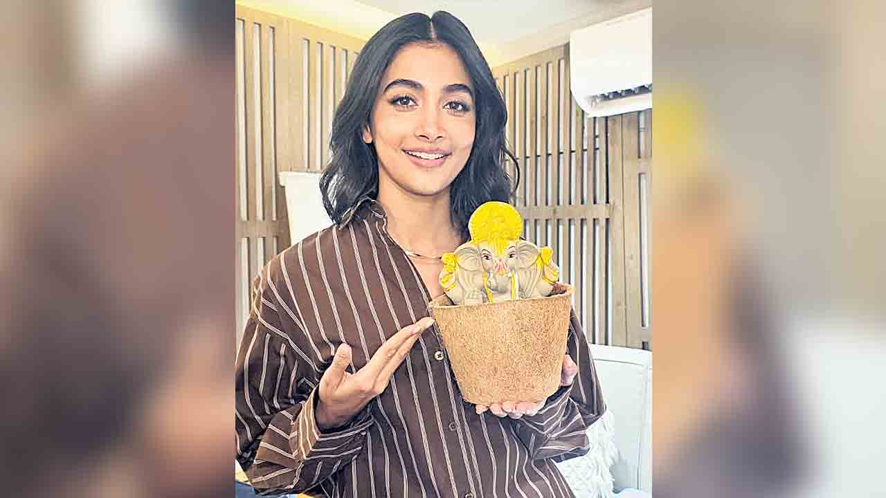 పర్యావరణహిత ‘సీడ్‌ గణేశ’ ఉద్యమం