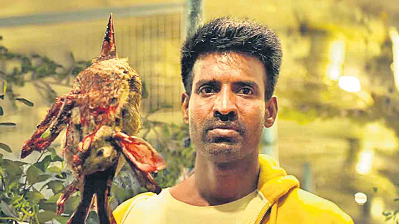 సైకలాజికల్‌ థ్రిల్లర్‌ ‘సంచారి’
