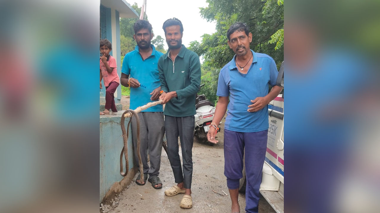 Snake | ప్రభుత్వ పాఠశాల ఆవరణలో నాగుపాము హల్‌చల్