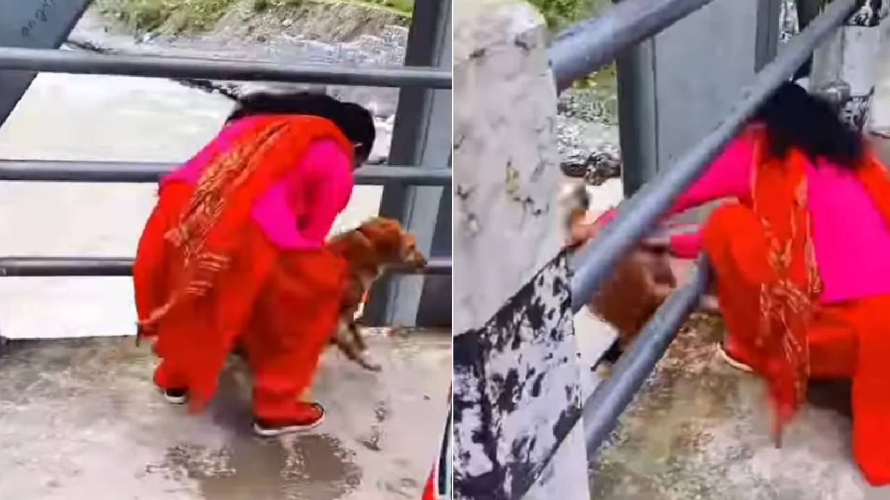 Viral Video | షాకింగ్ వీడియో.. నేపాల్‌లో కుక్క‌ను బ్రిడ్జి పై నుంచి న‌దిలోకి తోసేసిన మ‌హిళ‌