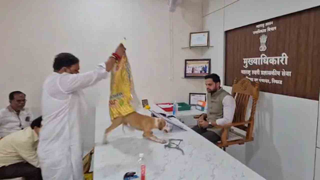 Watch: అధికారి బల్లపై వీధి కుక్కలను వదిలిన యువసేన నేతలు.. తర్వాత ఏం జరిగిందంటే?