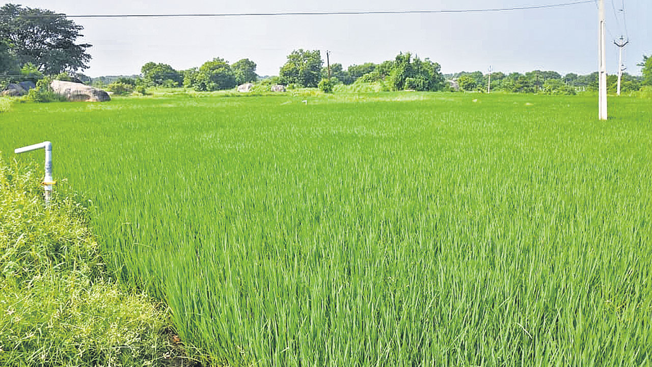 సాగు భూములకు నిషేధిత సెగ!