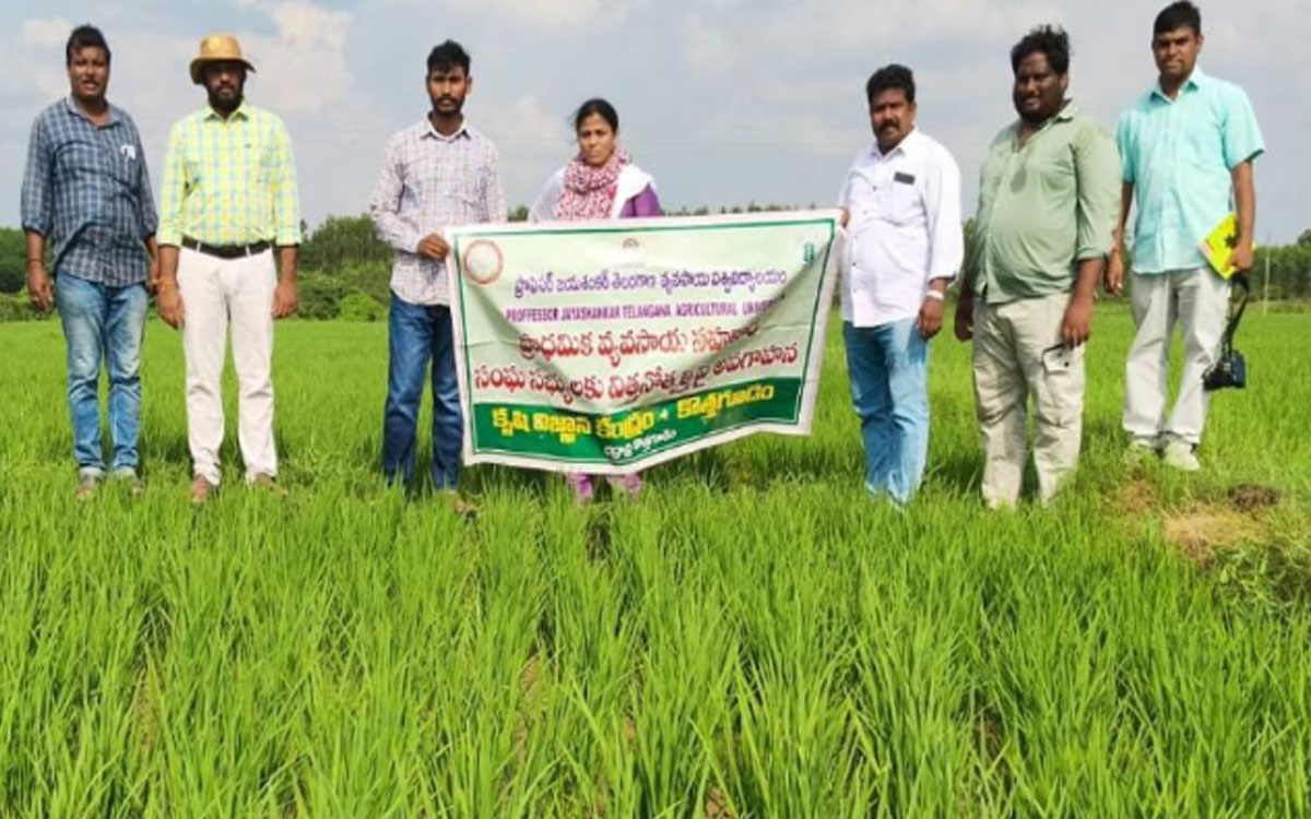 ‘​రైతు స్థాయిలోనే నాణ్యమైన విత్తన తయారీ జరగాలి’