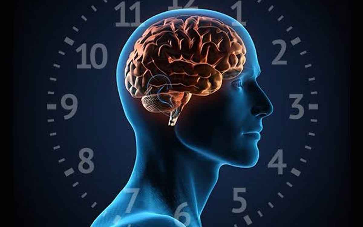 Body Clock | జీవ‌గ‌డియారం అంటే ఏమిటి.. ఇది స‌రిగ్గా ప‌నిచేయ‌క‌పోతే ఏమ‌వుతుంది..?