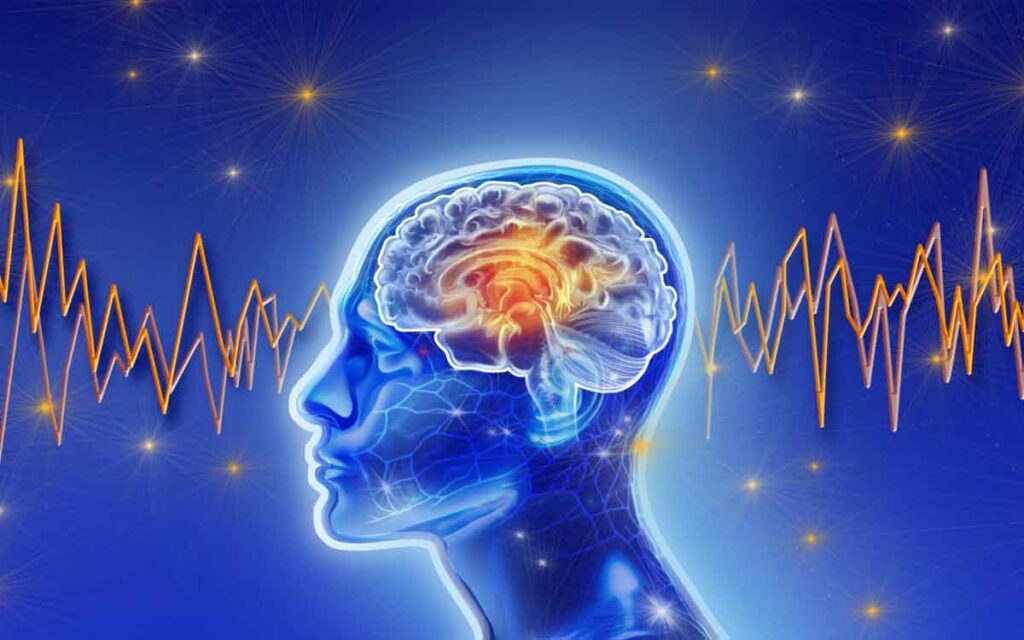Brain Activity