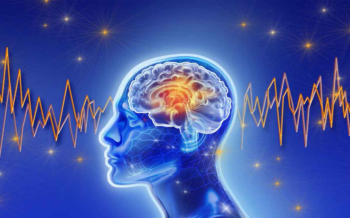 Brain Activity | ప్ర‌మాదం క‌లిగించే నిర్ణ‌యం తీసుకునే ముందు మెదడులో ఏం జ‌రుగుతుంది.. అధ్య‌య‌నాల్లో ఏం తేలింది..