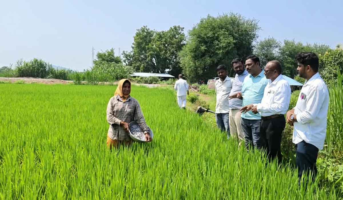 Digital crop survey | డిజిటల్ క్రాప్ సర్వే వేగవంతం చేయాలి.. కరీంనగర్‌ జిల్లా వ్యవసాయ అధికారి చత్రు నాయక్