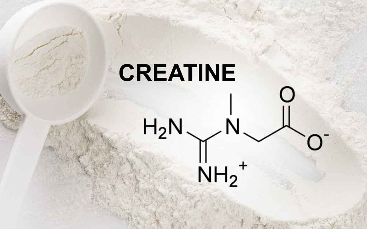 Creatine | క్రియేటిన్ స‌ప్లిమెంట్ల‌ను తీసుకోవ‌డం ఆపితే ఏం జ‌రుగుతుంది..? వీటిని నేరుగా తీసుకోవచ్చా..?