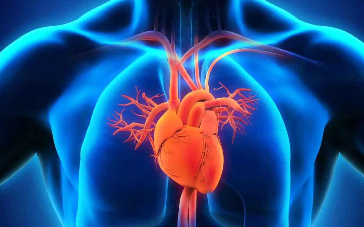 Heart Diseases | గుండె జ‌బ్బుల‌కు కేవ‌లం కొలెస్ట్రాల్ మాత్ర‌మే కాదు, ఇది కూడా కార‌ణ‌మే.. వైద్య నిపుణుల హెచ్చ‌రిక‌..