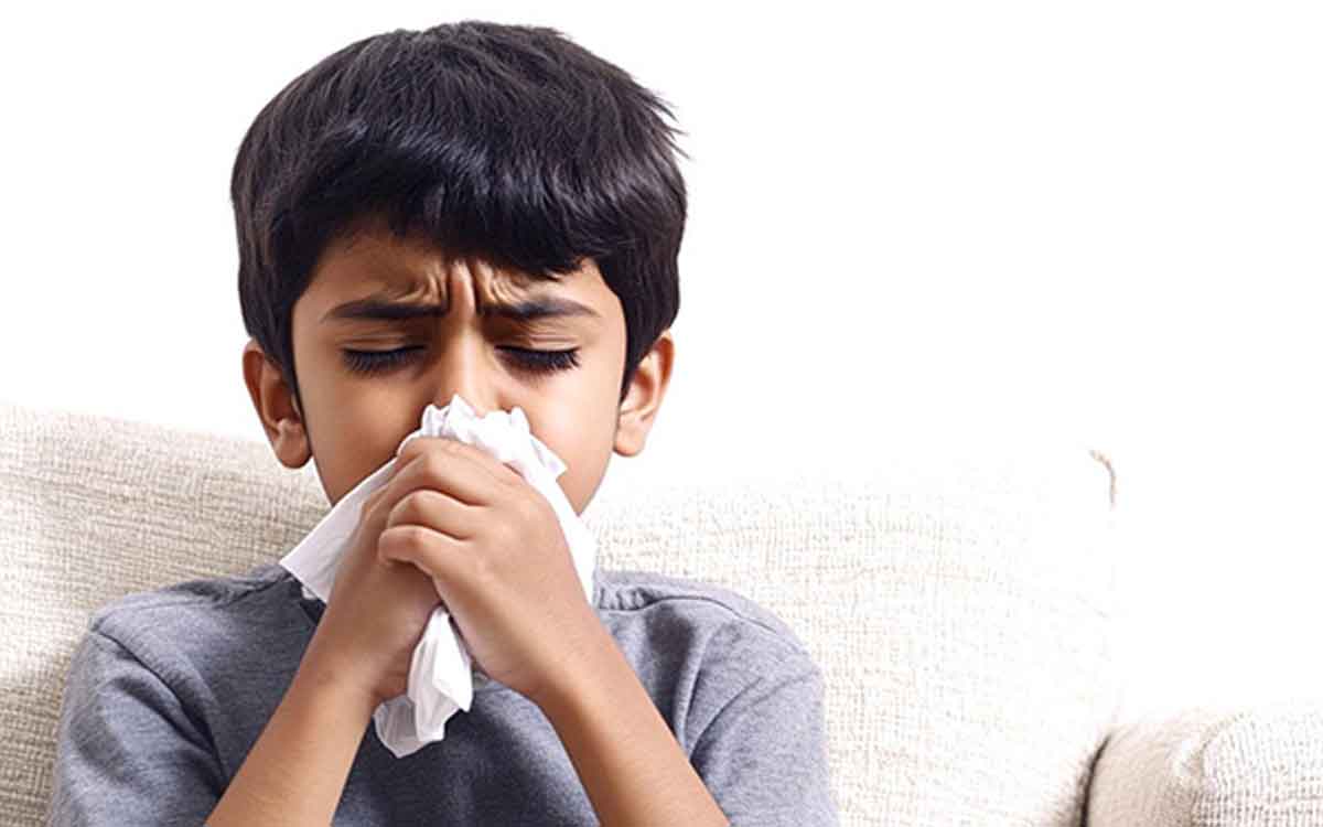 Dengue | ఎల్‌నినో ఎఫెక్ట్‌.. దేశంలో అధికంగా పెరుగుతున్న డెంగ్యూ, విష జ్వ‌రాల కేసులు..