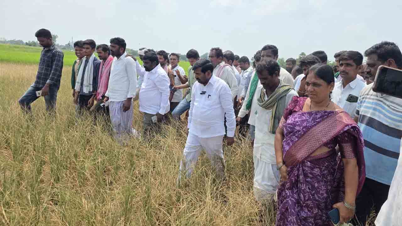 Jagadish Reddy | పంటలను ఎండబెడుతున్న పాపం కాంగ్రెస్‌దే : ఎమ్మెల్యే జగదీష్ రెడ్డి