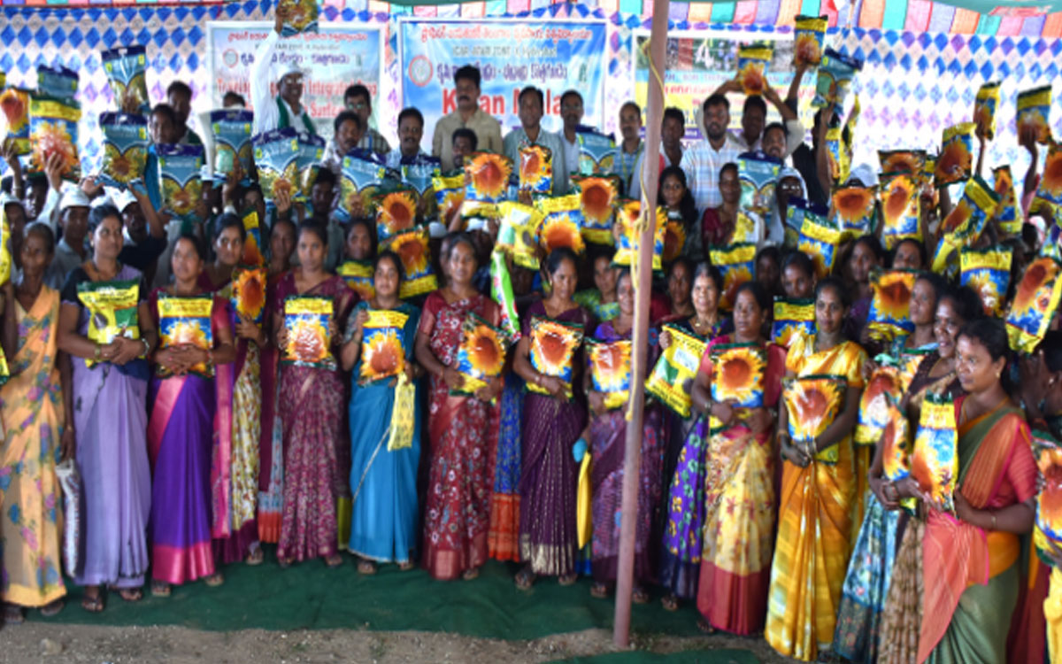 గిరిజన రైతులకు పొద్దుతిరుగుడు సాగుపై అవగాహన