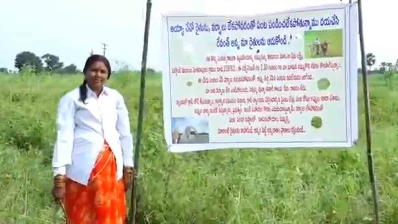 Warangal | రేవంత్ అన్నా మా రైతులను ఆదుకోండి..! పొలంలో ఫ్లెక్సీ ఏర్పాటు చేసిన మహిళా రైతు : వైరల్‌ వీడియో
