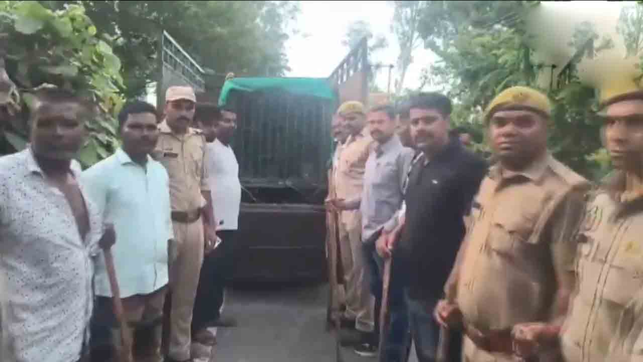 Leopard | ఫారెస్ట్‌ అధికారులకు చిక్కిన 14వ చిరుత.. వీడియో