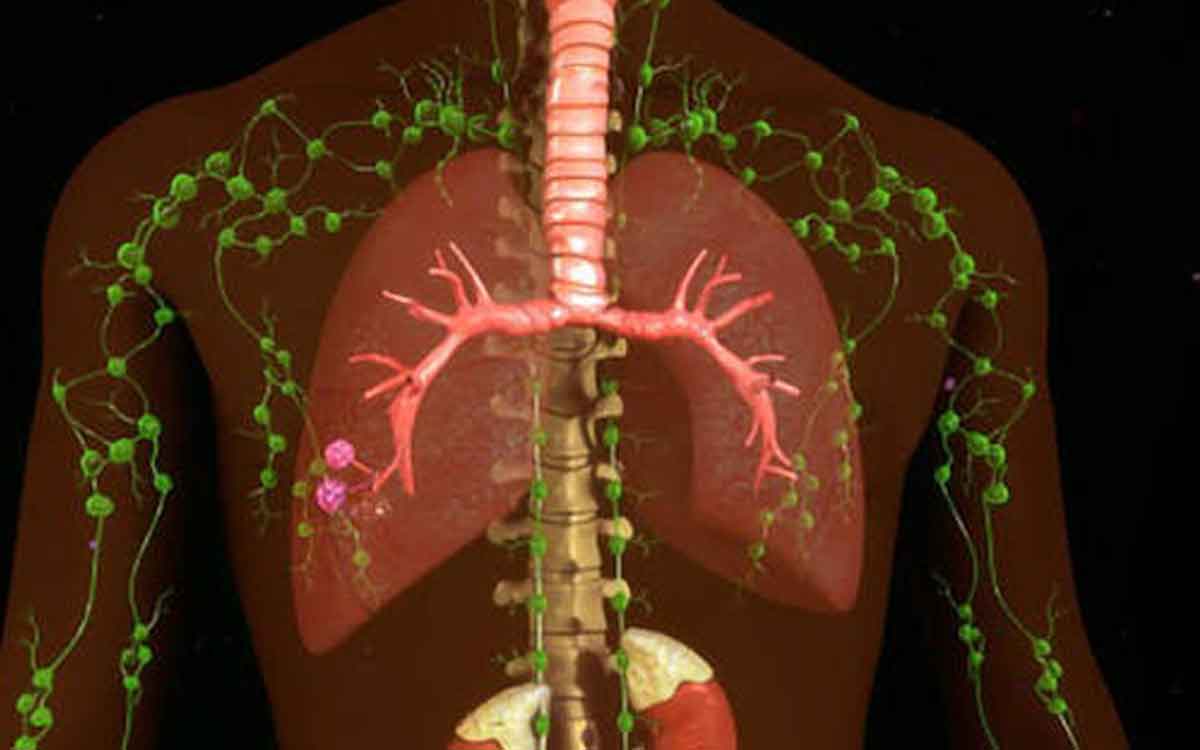 Lymphatic System | శ‌ర‌రీంలో రెండో ప్ర‌స‌ర‌ణ వ్య‌వ‌స్థ ఇది.. దీని వ‌ల్ల ఎలాంటి లాభాలు ఉన్నాయో తెలుసా..?