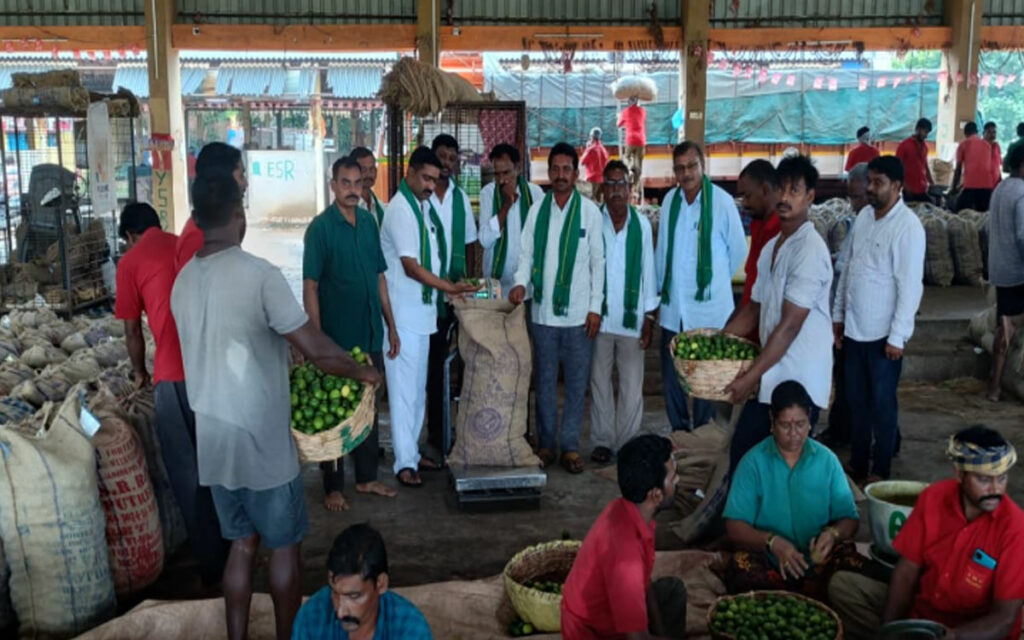నిడమనూరు మార్కెట్ పాలకవర్గం ఏలూరు నిమ్మ మార్కెట్ సందర్శన