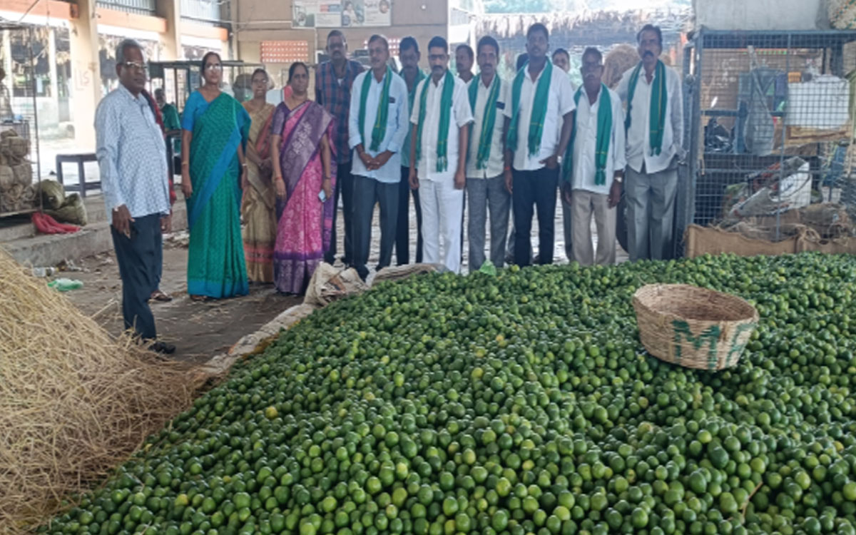 నిడమనూరు మార్కెట్ పాలకవర్గం ఏలూరు నిమ్మ మార్కెట్ సందర్శన