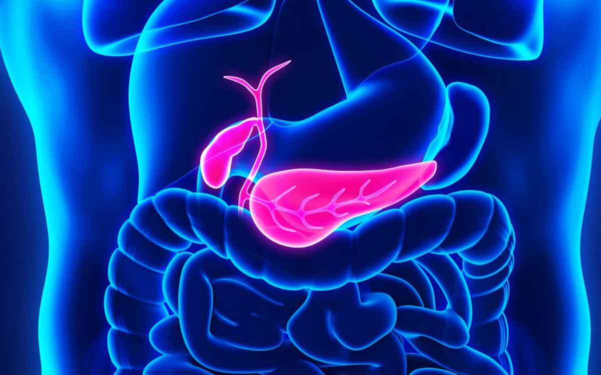 Pancreas Cancer | ప్యాంక్రియాస్ క్యాన్స‌ర్ ఉంటే ఎలాంటి ల‌క్ష‌ణాలు క‌నిపిస్తాయి.. ముందుగానే ఎలా గుర్తించ‌వ‌చ్చు..?