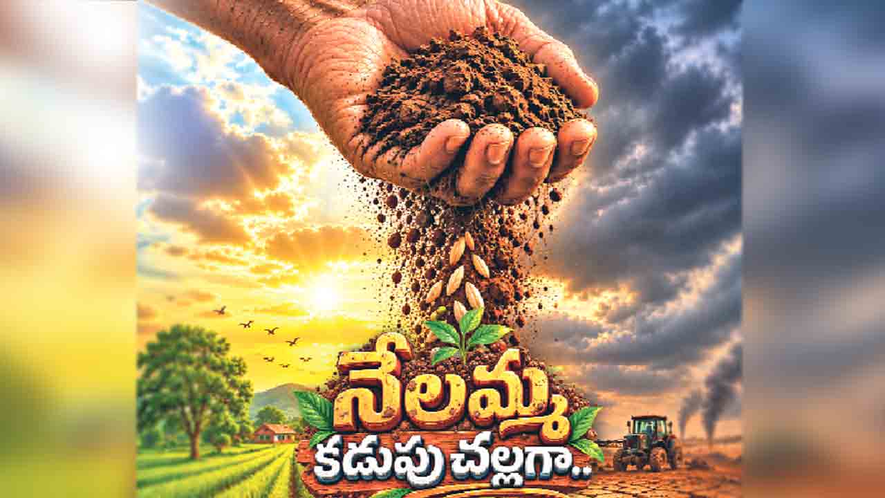 నేలమ్మ కడుపు చల్లగా..