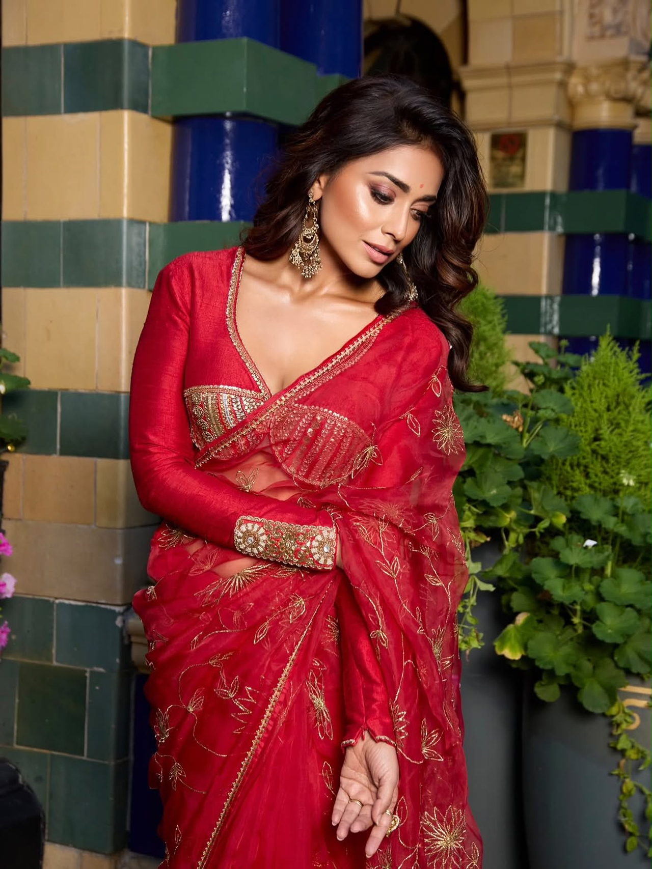 Shriya Saran11