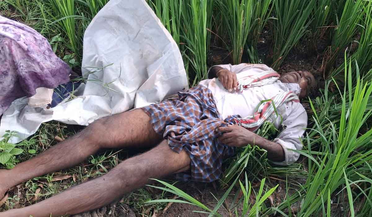 Kolanuru | పిడుగుపాటుకు పొలంలో రైతు మృతి.. కొలనూరు గ్రామంలో విషాదం