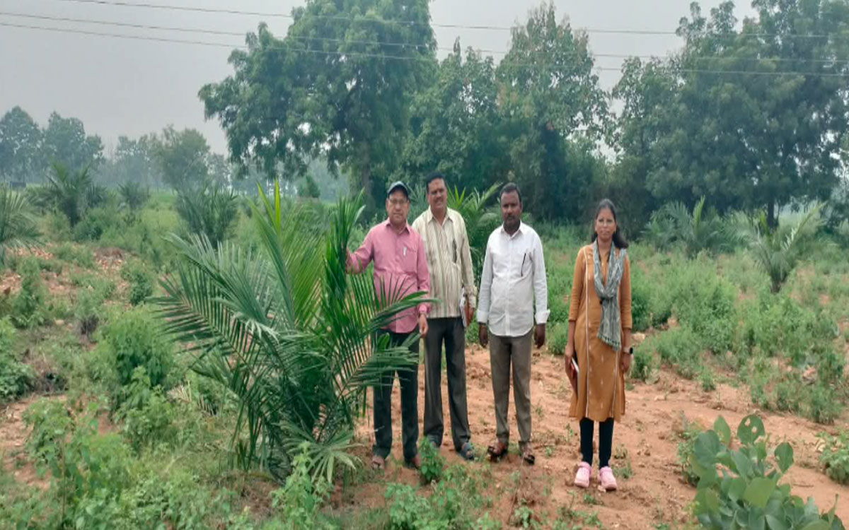 ‘రైతులు డిమాండ్ ఉన్న ఆయిల్ పామ్ తోటలను సాగు చేయాలి’