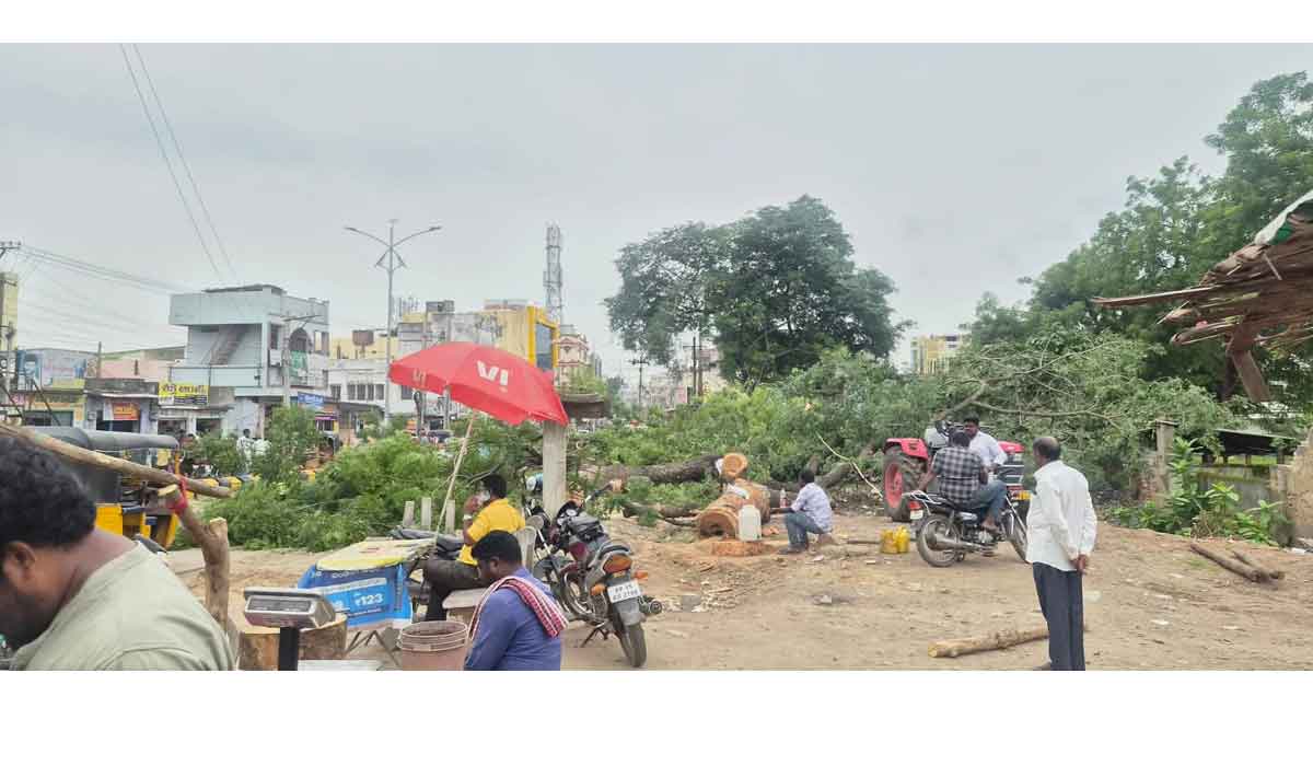 Godavarikhani | అభివృద్ధి పేరుతో గోదావరిఖనిలో వివాదాస్పదంగా చెట్ల నరికివేత