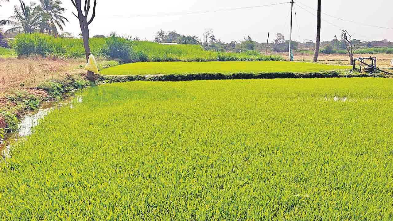 రైతులపై మరో భూసేకరణ పిడుగు
